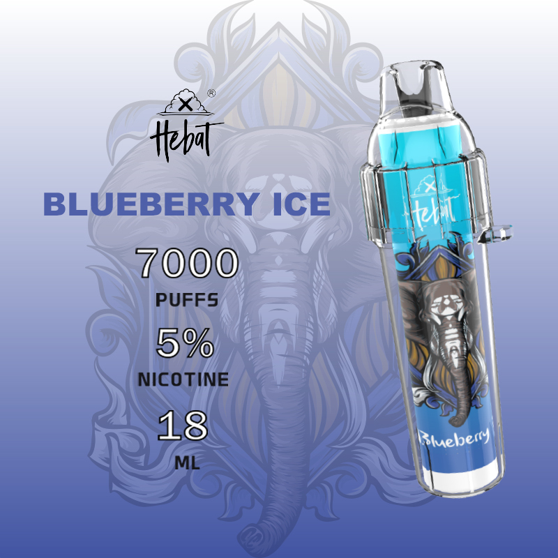 喜貝 Hebat Boom 一次性電子煙｜藍莓冰・拋棄式電子煙・約 7000 口・續行持久